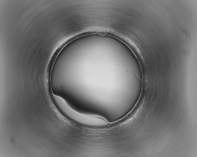 X0000110900981200907021534