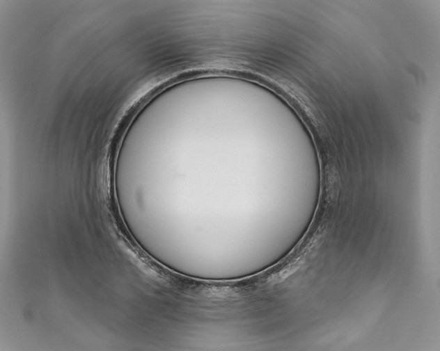X0000110900982200907021534