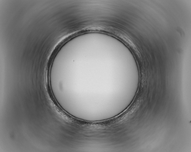 X0000110900984200907021534