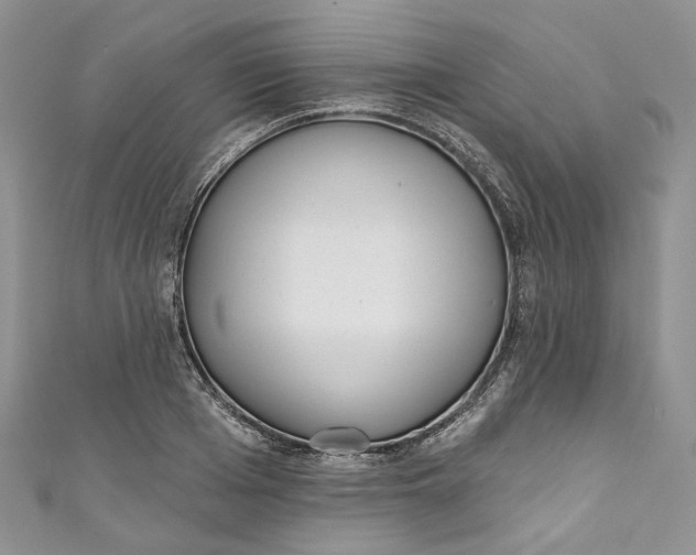 X0000110900985200907021534