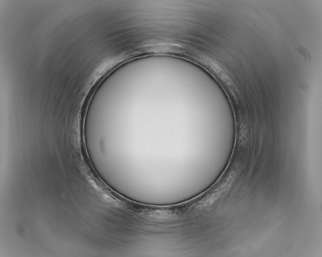 X0000110900986200907021534