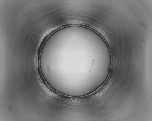 X0000110900987200907021534