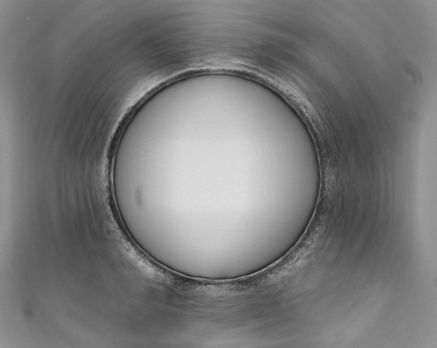 X0000110900990200907021534