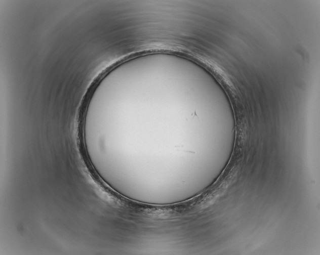 X0000110900991200907021534