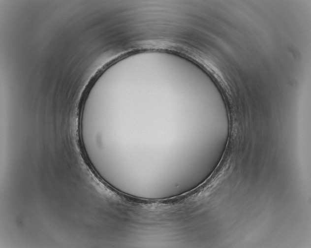 X0000110900992200907021534