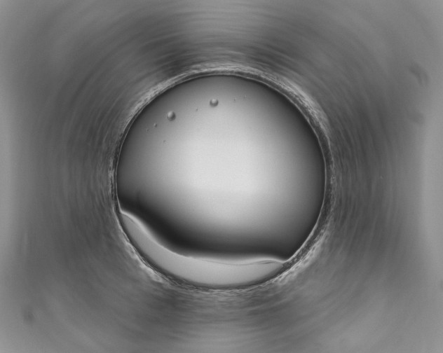 X0000110900993200907021534
