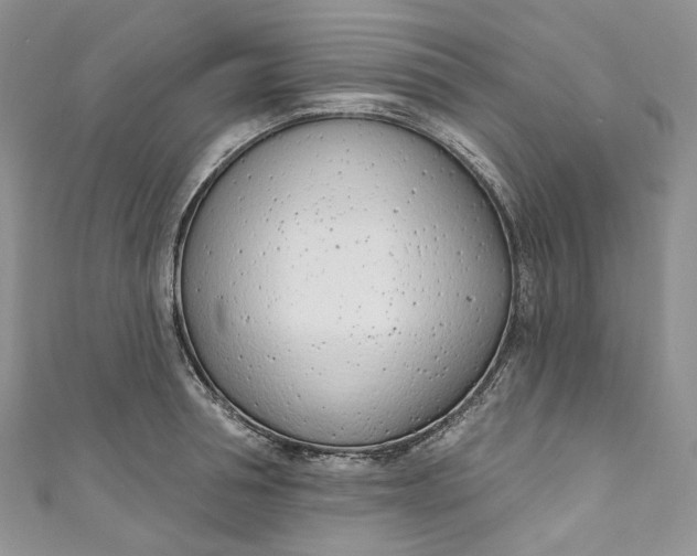 X0000110900994200907021534