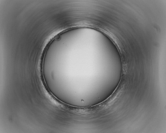 X0000110900995200907021534