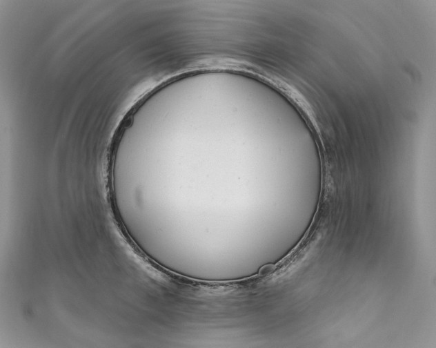 X0000110900997200907021534