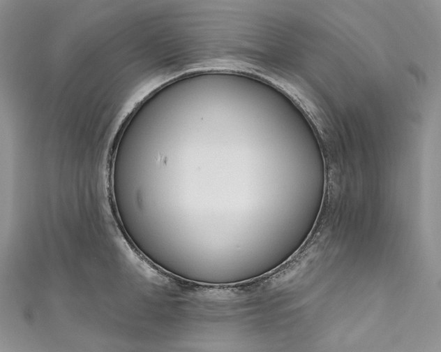 X0000110900998200907021534