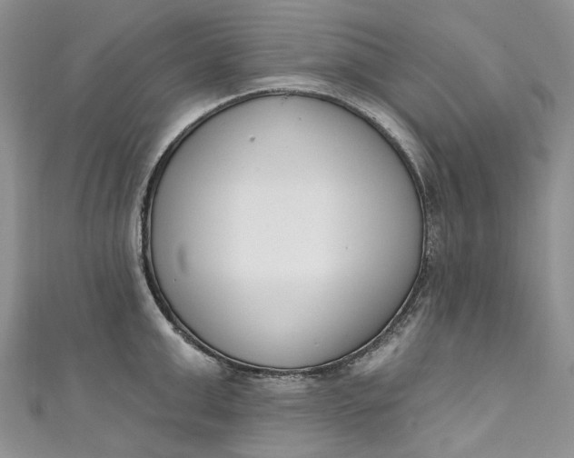 X0000110900999200907021534