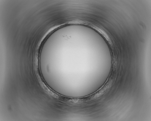 X0000110901000200907021534