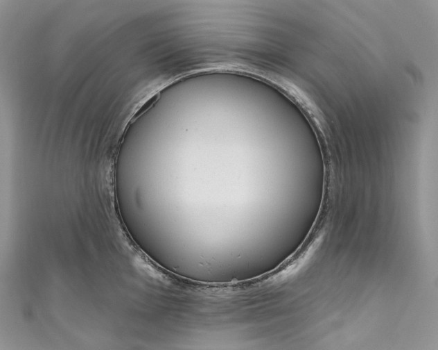 X0000110901001200907021534
