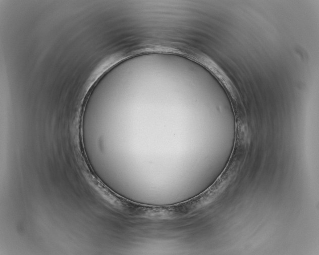 X0000110901002200907021534