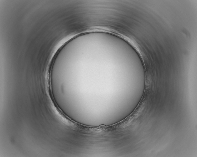 X0000110901003200907021534
