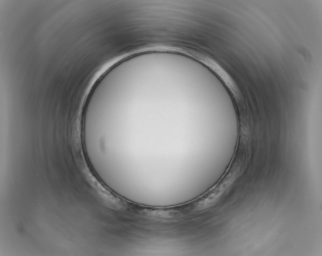 X0000110901004200907021533