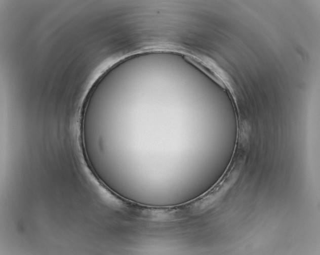 X0000110901005200907021533