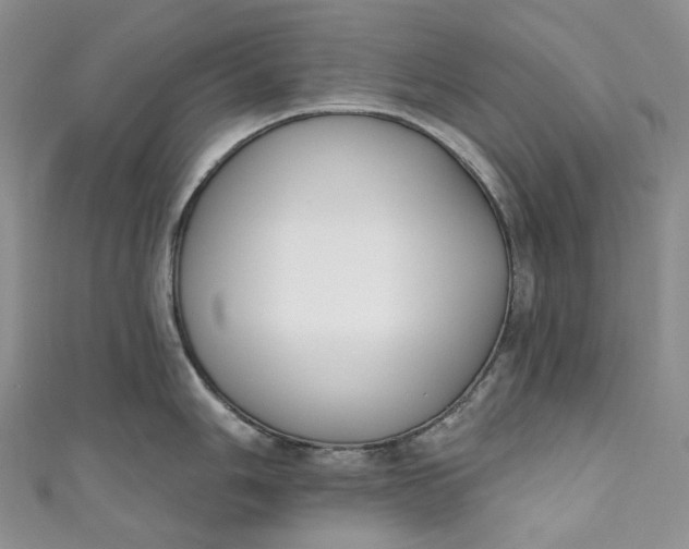 X0000110901006200907021533