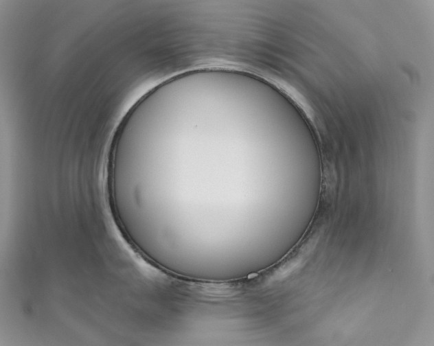 X0000110901007200907021533