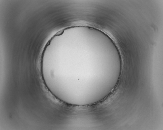 X0000110901008200907021533