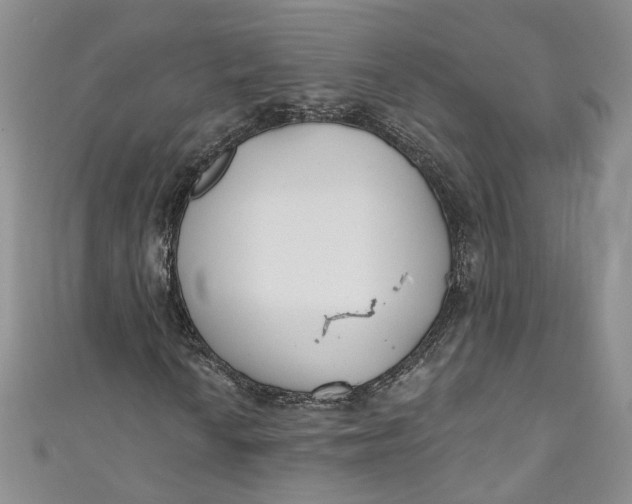 X0000110901010200907021533