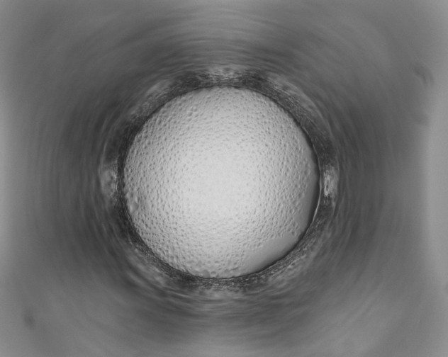 X0000110901011200907021533