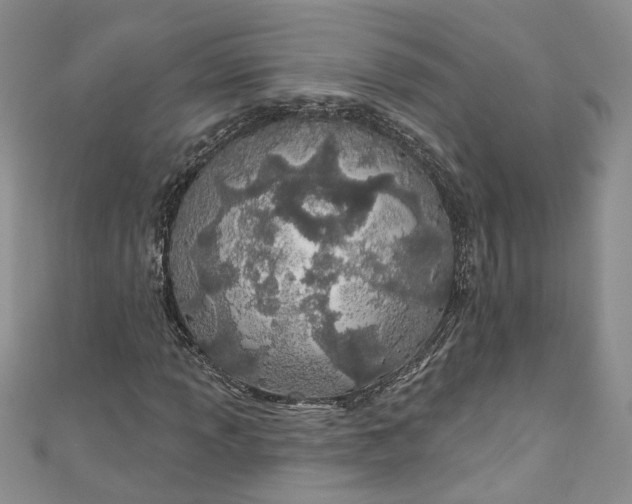 X0000110901013200907021533