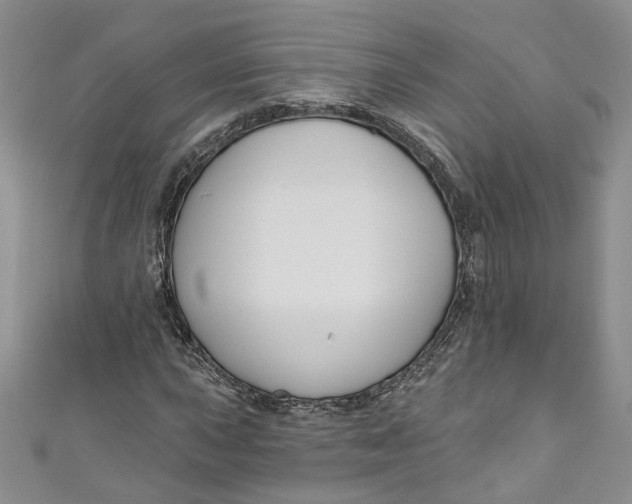 X0000110901015200907021533