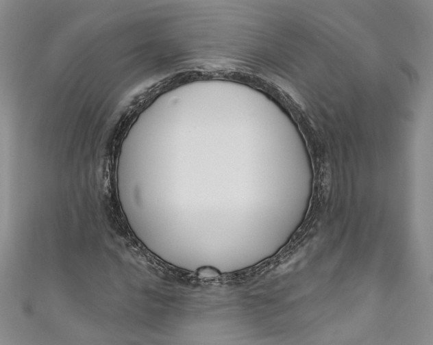 X0000110901016200907021533