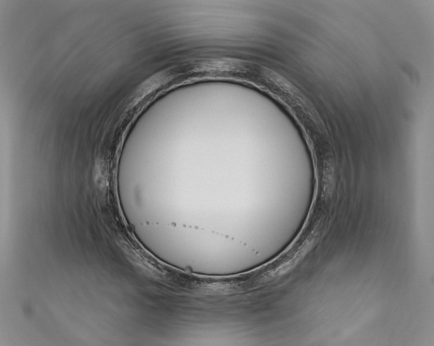 X0000110901017200907021533