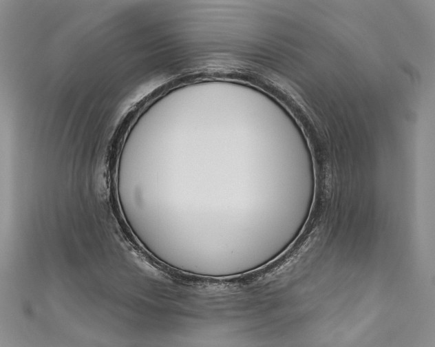 X0000110901018200907021533