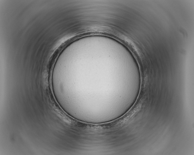 X0000110901019200907021533