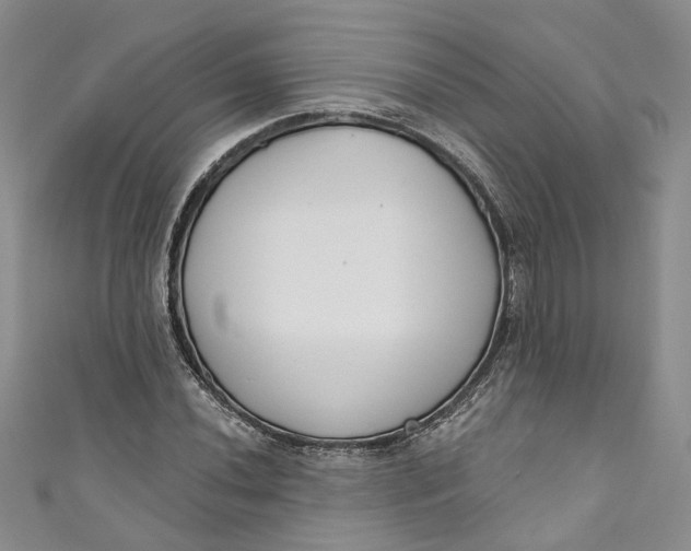 X0000110901020200907021533