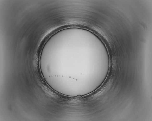X0000110901021200907021533