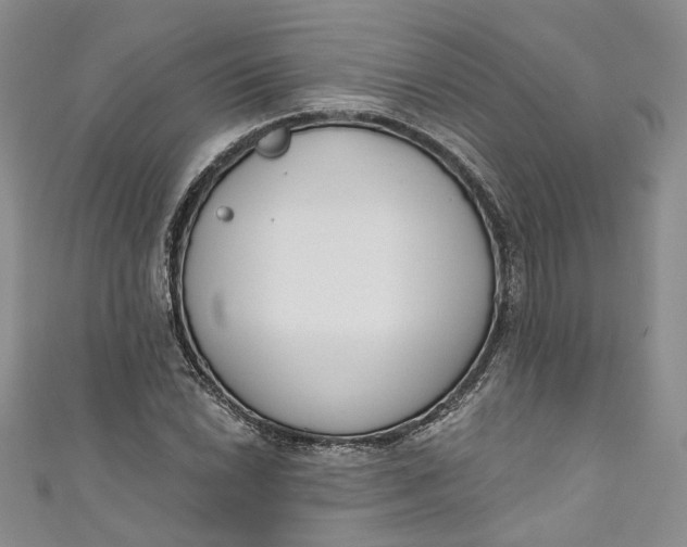 X0000110901022200907021533