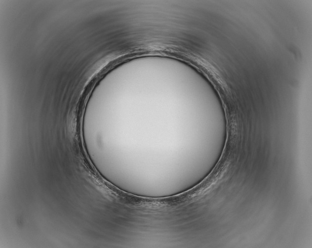 X0000110901023200907021533