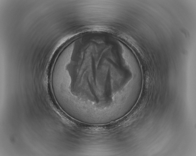 X0000110901024200907021533