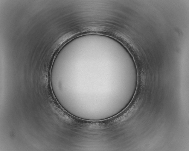X0000110901025200907021533