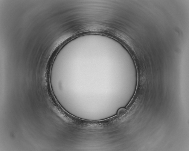 X0000110901026200907021533
