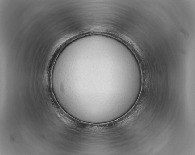 X0000110901027200907021533