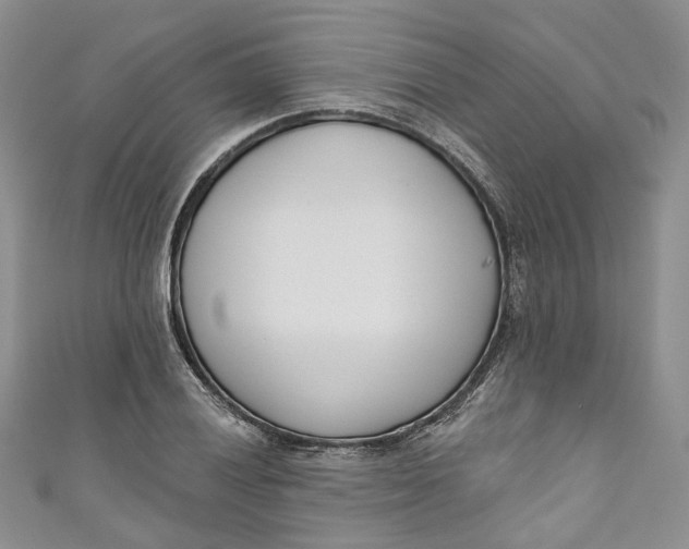 X0000110901028200907021533