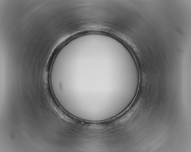 X0000110901029200907021533