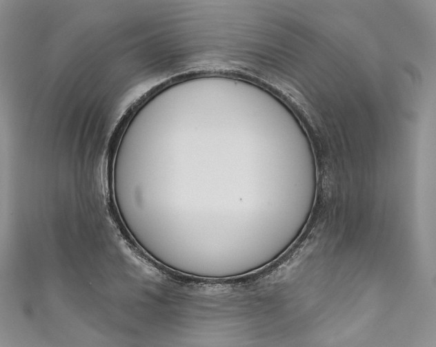 X0000110901030200907021533