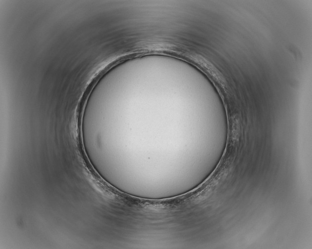 X0000110901031200907021533