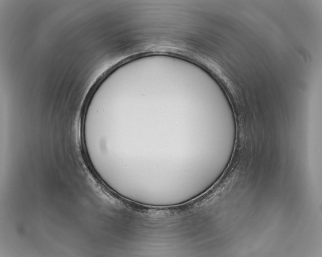X0000110901032200907021533