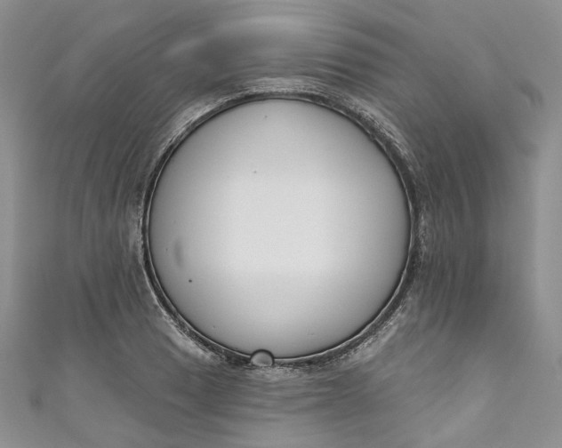 X0000110901033200907021533