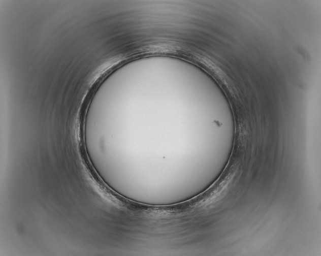 X0000110901034200907021533