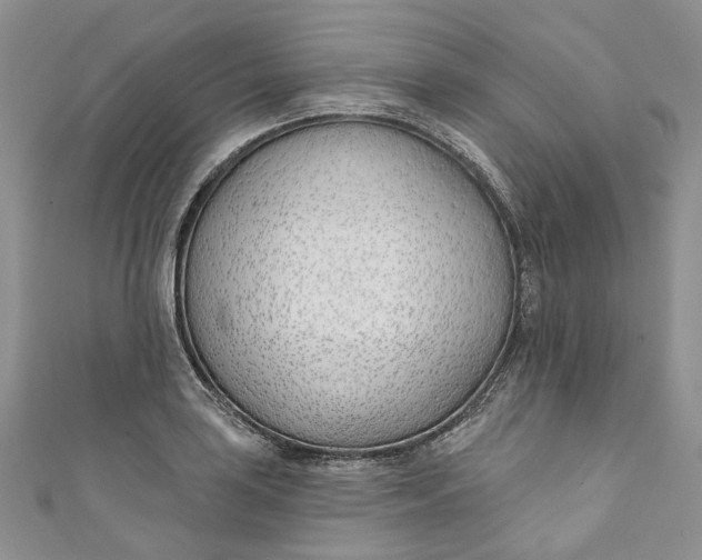 X0000110901035200907021533