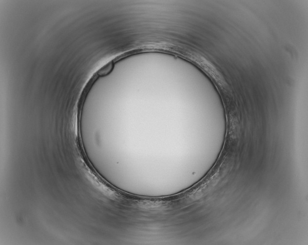 X0000110901036200907021533