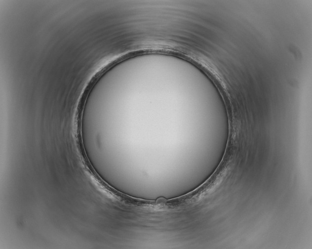 X0000110901037200907021533